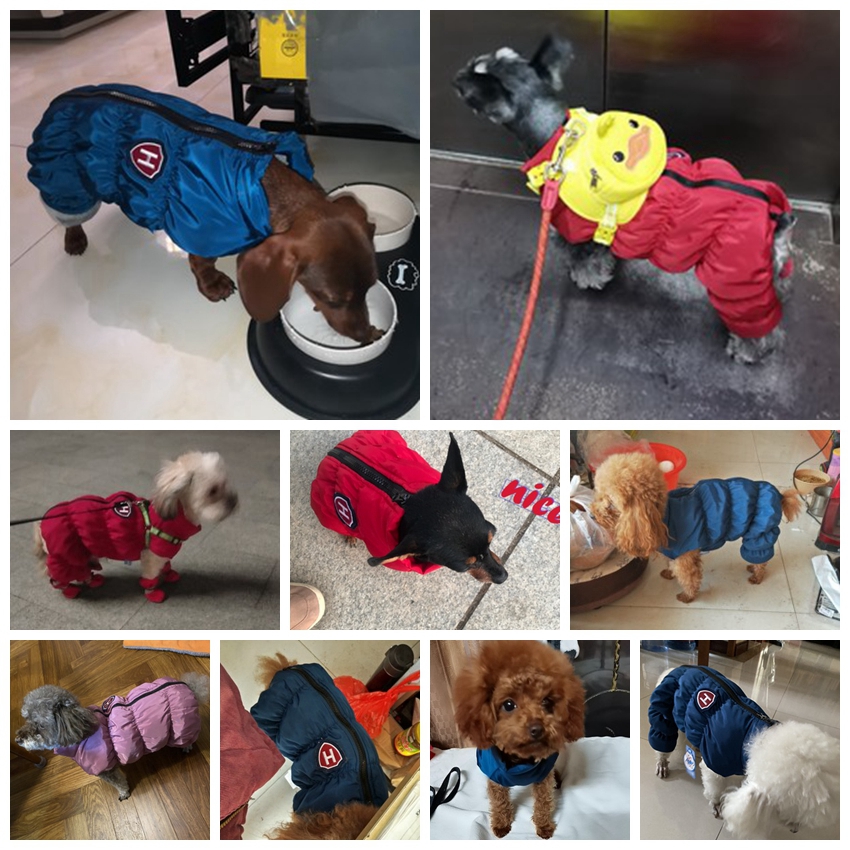 지퍼 스노우 남여 개 방수 작업복 블루 퍼플 애완 동물 - Baby Clothing Winter 리뷰 및 가격